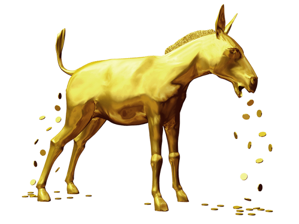 Goldesel Onlinekurs - Stefan Hiene